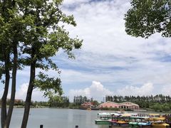 -上海长兴岛郊野公园