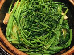 -煲煲好(朝阳门店)