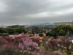 -无锡梅园公园