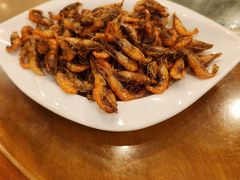 -牧羊餐厅