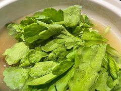 -老东风菜馆·羊肉火锅·海鲜·砂锅粥