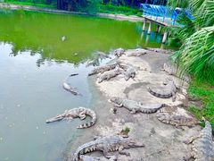 -广州长隆飞鸟乐园