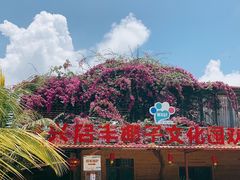 -万兴启丰椰子文化园餐厅