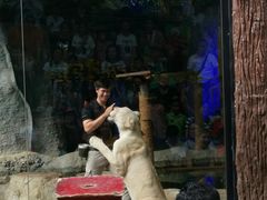 -清迈夜间动物园