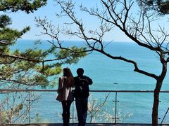 -将相和·海鲜蒸饺大连菜