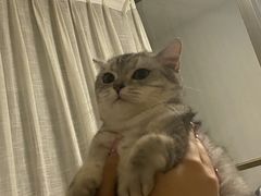 -爱诺耐芙动物医院(万博店)