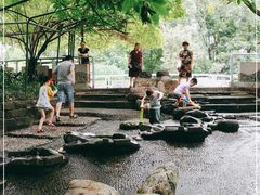 -成都市活水公园