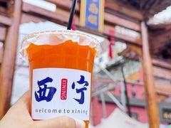 -青藏高原野生动物园