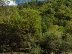 景点-互助北山国家地质公园漂流