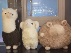 餐具摆设-九府羊·鲜羊火锅·烤串(新华路店)