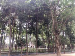 -凤来栖·净庭院·火锅(欧尚店)