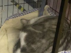 -谜盒子奇幻密室(南屏店)