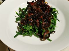 昭通椒丝油鸡枞麦瓜尖-泓0871臻选云南菜·味庄