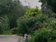 -人民公园(罗湖区)