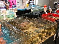 -盒马鲜生(曜一城店)