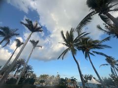-三亚亚龙湾瑞吉酒店·铭轩中餐厅Mingxuan·海南菜·粤菜