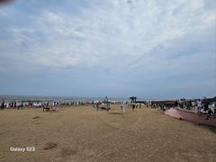 -日照海滨国家森林公园