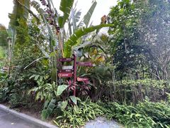 -碧桂园润杨溪谷温泉酒店