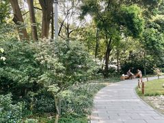 -成都市活水公园