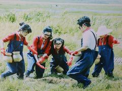 宣传照片-腾冲北海湿地