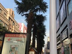 -沙洲路步行街(长安南路店)