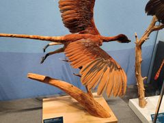 -国家自然博物馆