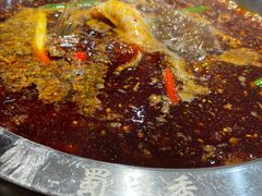 -蜀滋香鲜鱼美蛙火锅(339店)