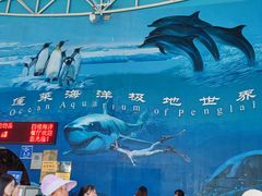 -蓬莱欧乐堡海洋极地世界