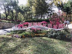 -莲花山公园