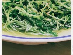 -新天明砂锅鱼头煲