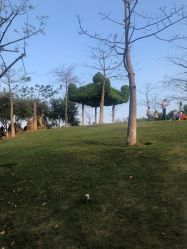 -番禺儿童公园