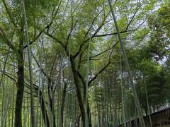 -温州永嘉书院