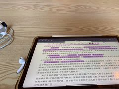 -滚猫咖啡·猫咖·猫友好撸猫(未来城店)