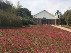 -天目湖涵田半山温泉