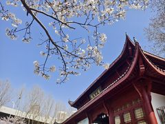 -堤角公园