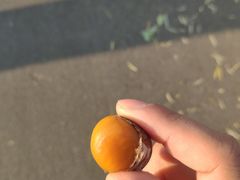 -秋栗香(地安门店)