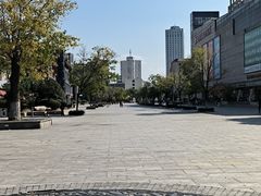-天津大悲禅院