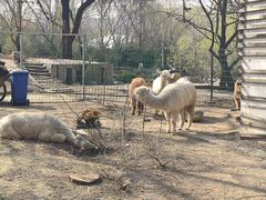 -郑州市动物园