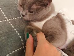 -纳吉亚猫专科动物医院博雅分院