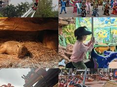 -长鹿旅游休博园