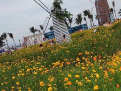 -玫瑰海岸文化旅游度假区