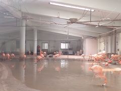 -石家庄市动物园