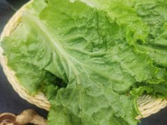 -满都拉碳火烤肉(文苑路店)