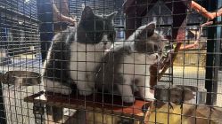 -酷嗒动物文化乐园(cutezoo西溪乐天城店)