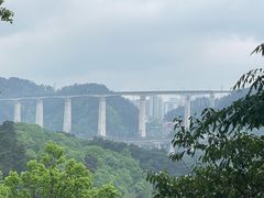 -黔灵山公园