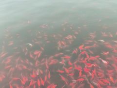 -迎泽公园