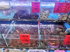 水产区-金海湾海鲜排档(朱家尖店)