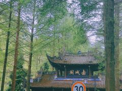 -青城山