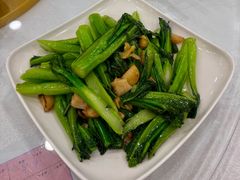 -姚林轩