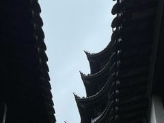 -月栖华明-云间草堂清茶馆(泗泾古镇店)